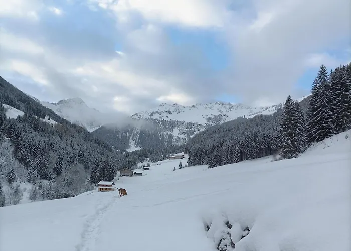 Innergreit Lejlighed