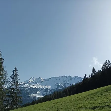 Innergreit Alpbach