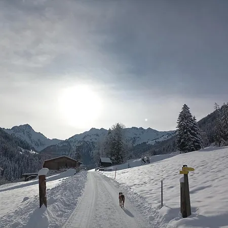 Innergreit Apartment Alpbach