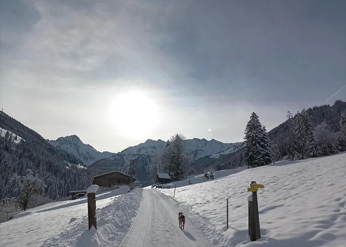 Innergreit Apartament Alpbach